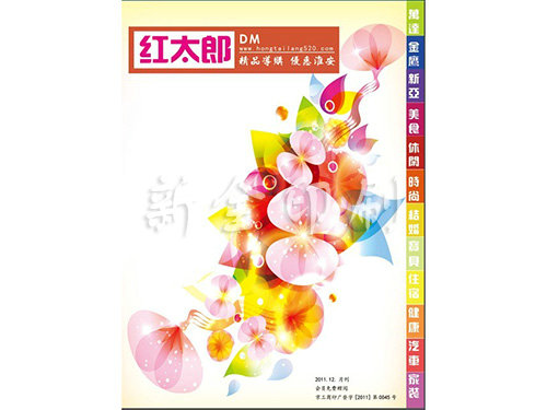 DM杂志系列