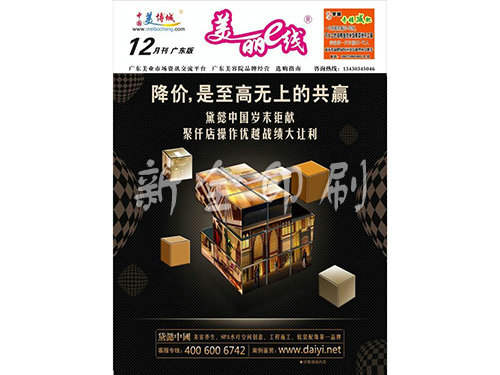 DM杂志系列
